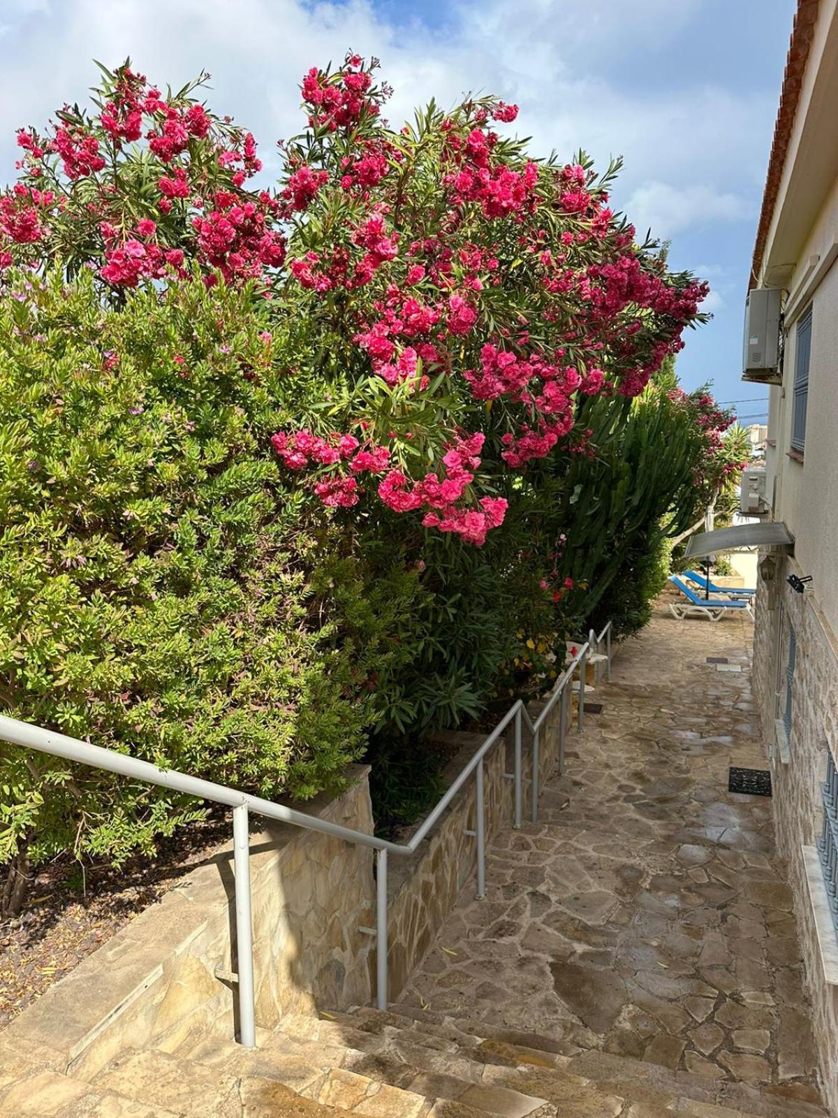 Apartamentos En La Villa Con El Territorio Comun En Calpe Eksteriør billede